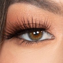 Load image into Gallery viewer, Evelyn Faux Fur Amplified Volume Lashes 3 Pairs 2501083